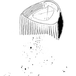 http://www.nunezdelar.co/files/gimgs/th-15_Estadio BN.jpg